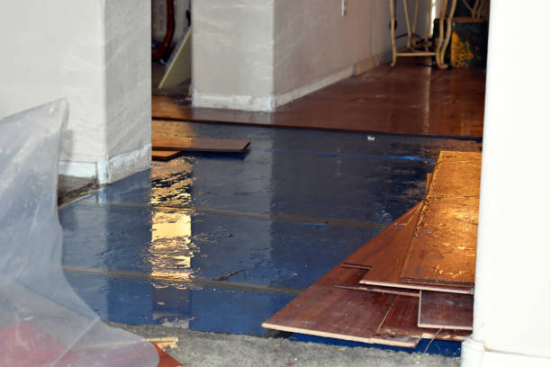 Professional Basement Water Removal technician working in Leander, TX