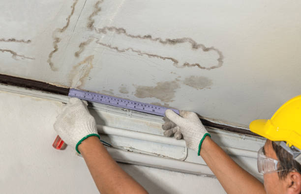 Reliable Basement Water Removal contractor in Leander, TX by Water Damage Irwin